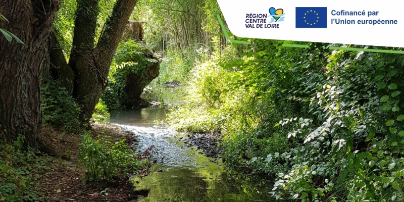 Un financement européen pour l’animation des programmes de restauration de nos rivières