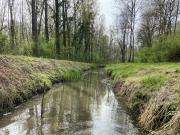piquetage sur la bionne 4