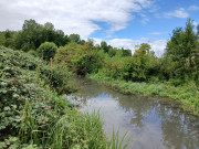 Un ruisseau large et envasé serpente au milieu d’une végétation buissonnante.
