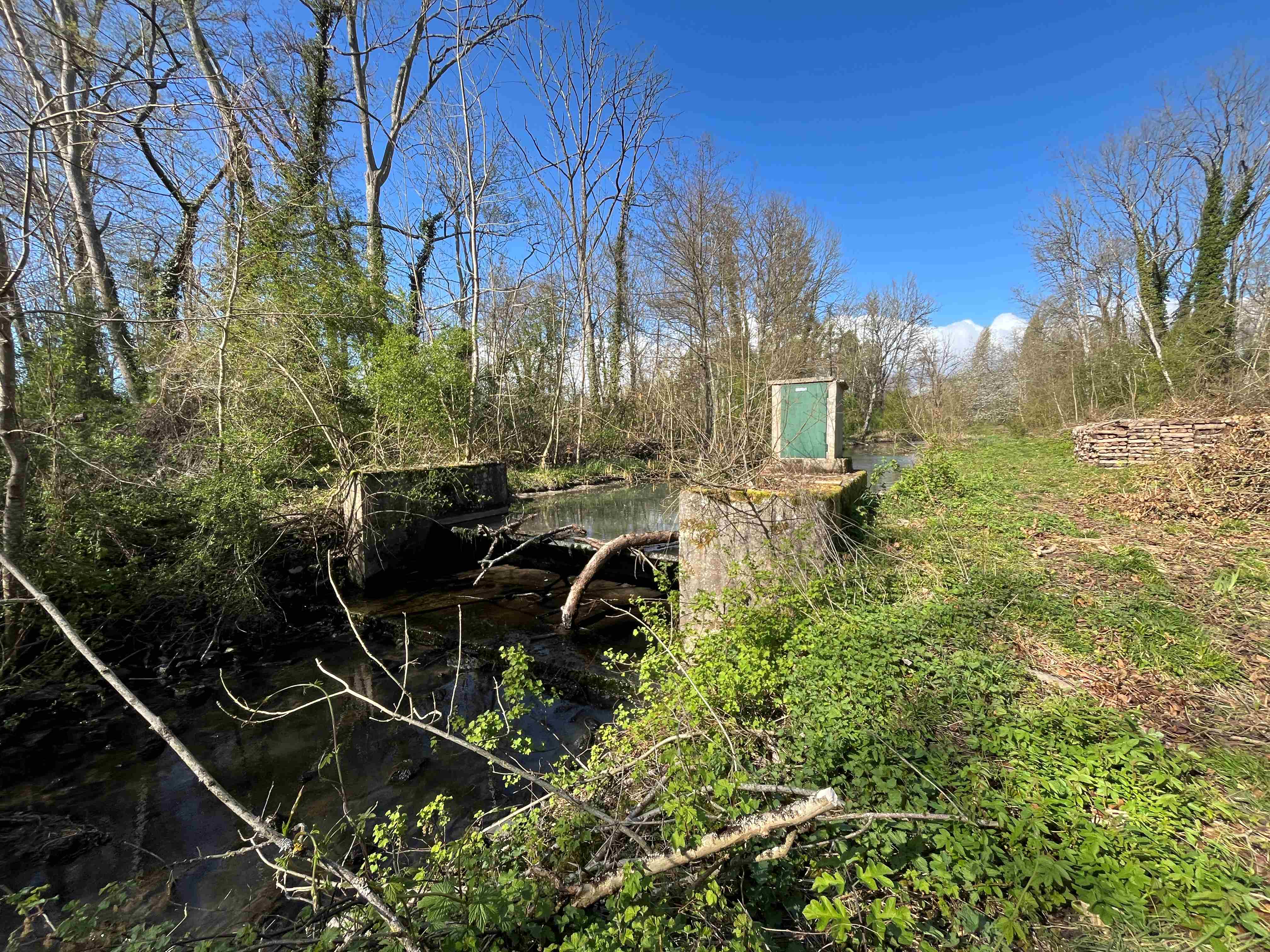 Zoomer sur l'image : 