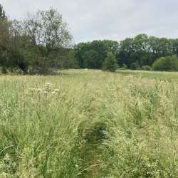 2025 Valorisation de la prairie de Bionne 